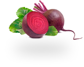 Насіння буряка