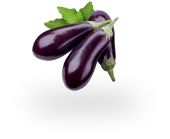 Eggplant seeds