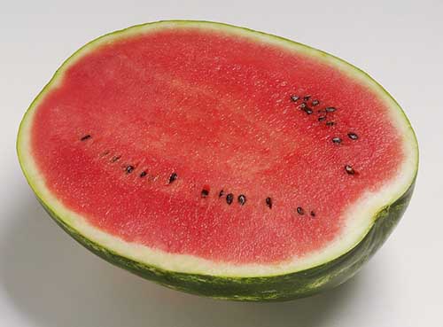 watermelon Optimus F1