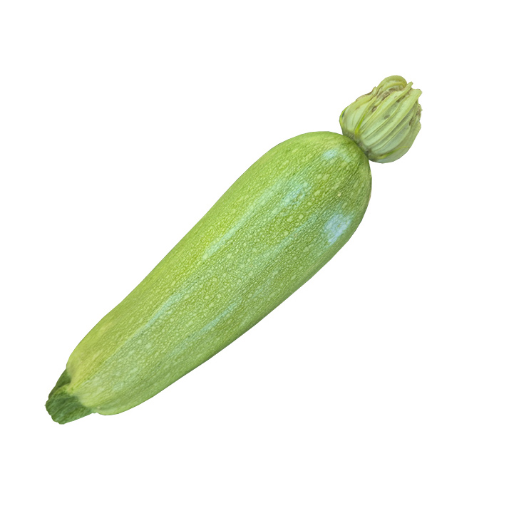 Zucchini Virida F1